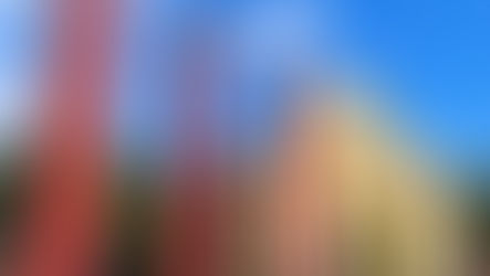 Jubileu 2025: Peregrinação do Setor Santa Felicidade será no Bosque São Cristóvão