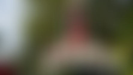 Festa da Padroeira tem como tema o cuidado com a Casa Comum