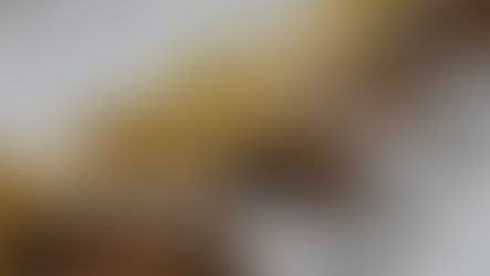 Disponíveis tickets para o Drive-thru da Festa da Uva