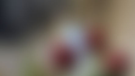 Programação do Mês de Maria