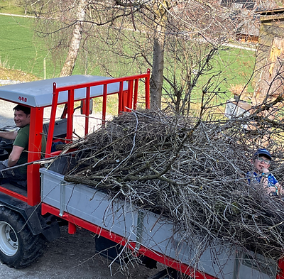 Landwirtschaft_Hecke schneiden