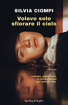 Ciompi_Volevo solo sfiorare il cielo.jpg