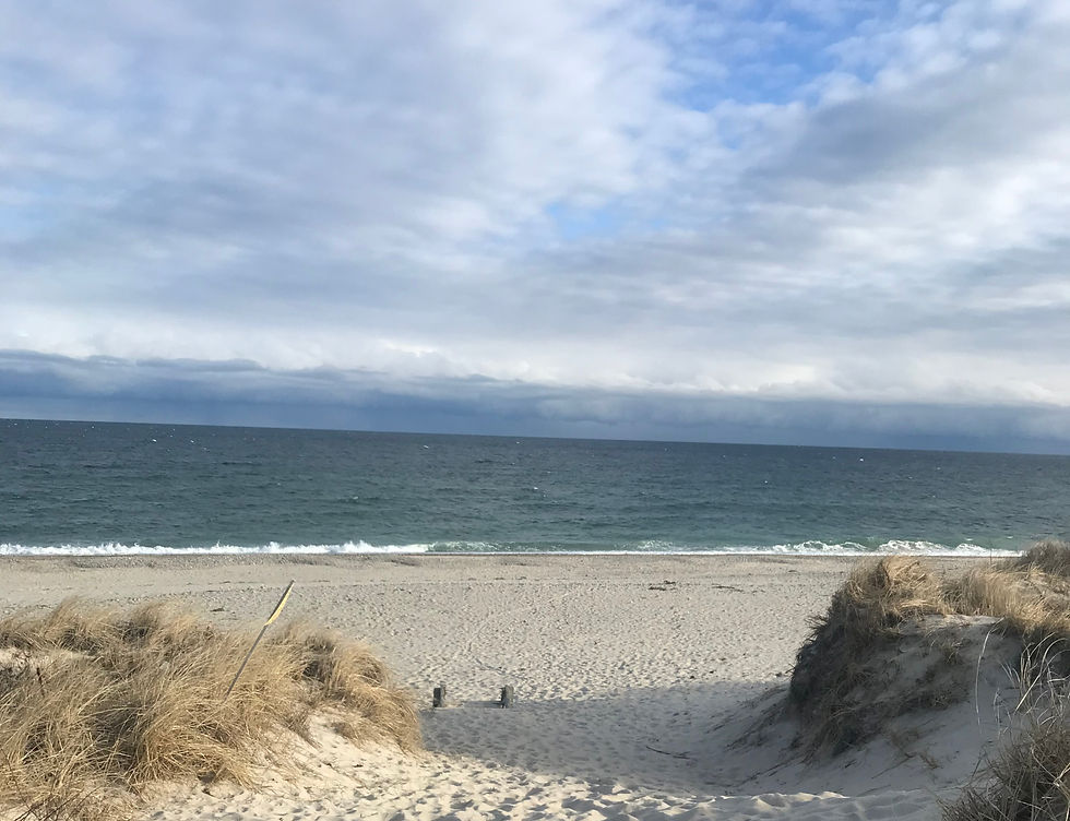 Cape cod Beach dunes_edited.jpg