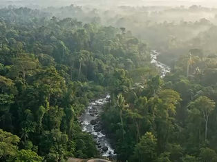 peaceful view north bali munduk escape crowds