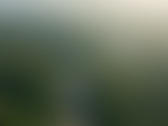 peaceful view north bali munduk escape crowds