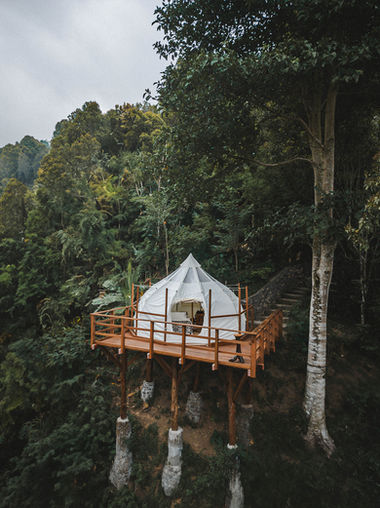 the lotus desa eko munduk bali 