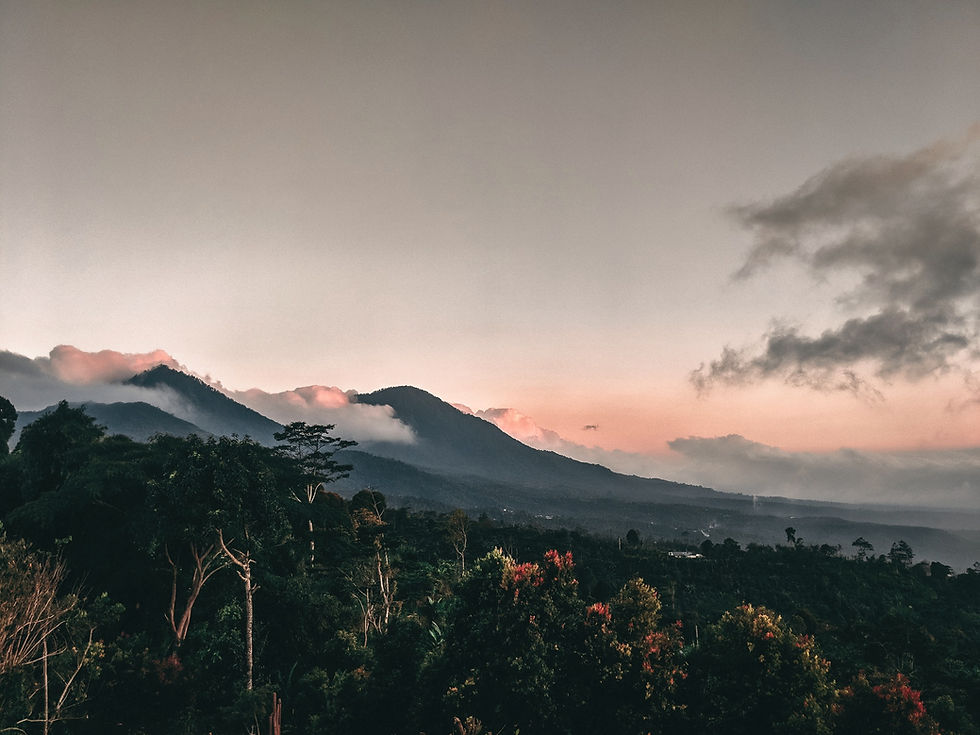 ACTIVITIES IN DESAEKO 3_edited.jpg