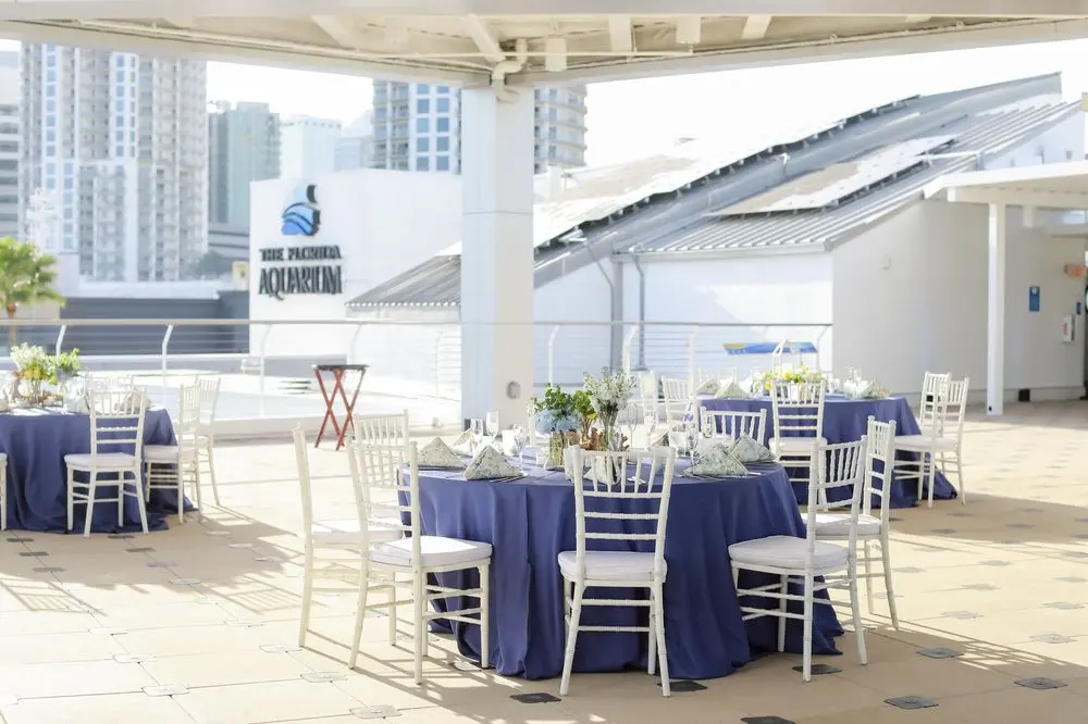 reception space on the terrace of the florida aquarium the best wedding venue in tampa