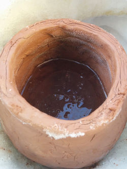 Back to the Beginning, 2014