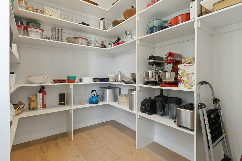 White European pantry wall with concealed kitchen storage shelving in Houston TX