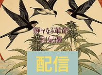 Agri Dept | 自然農 | 大分県臼杵市