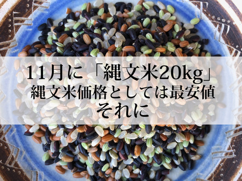 縄文米2026苗箱オーナー／縄文米20kg+オーナー特典付き／無肥料・無