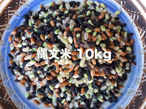 縄文米2025予約購入受付！／10kg（宇宙農／完全自然栽培米）古代米4種