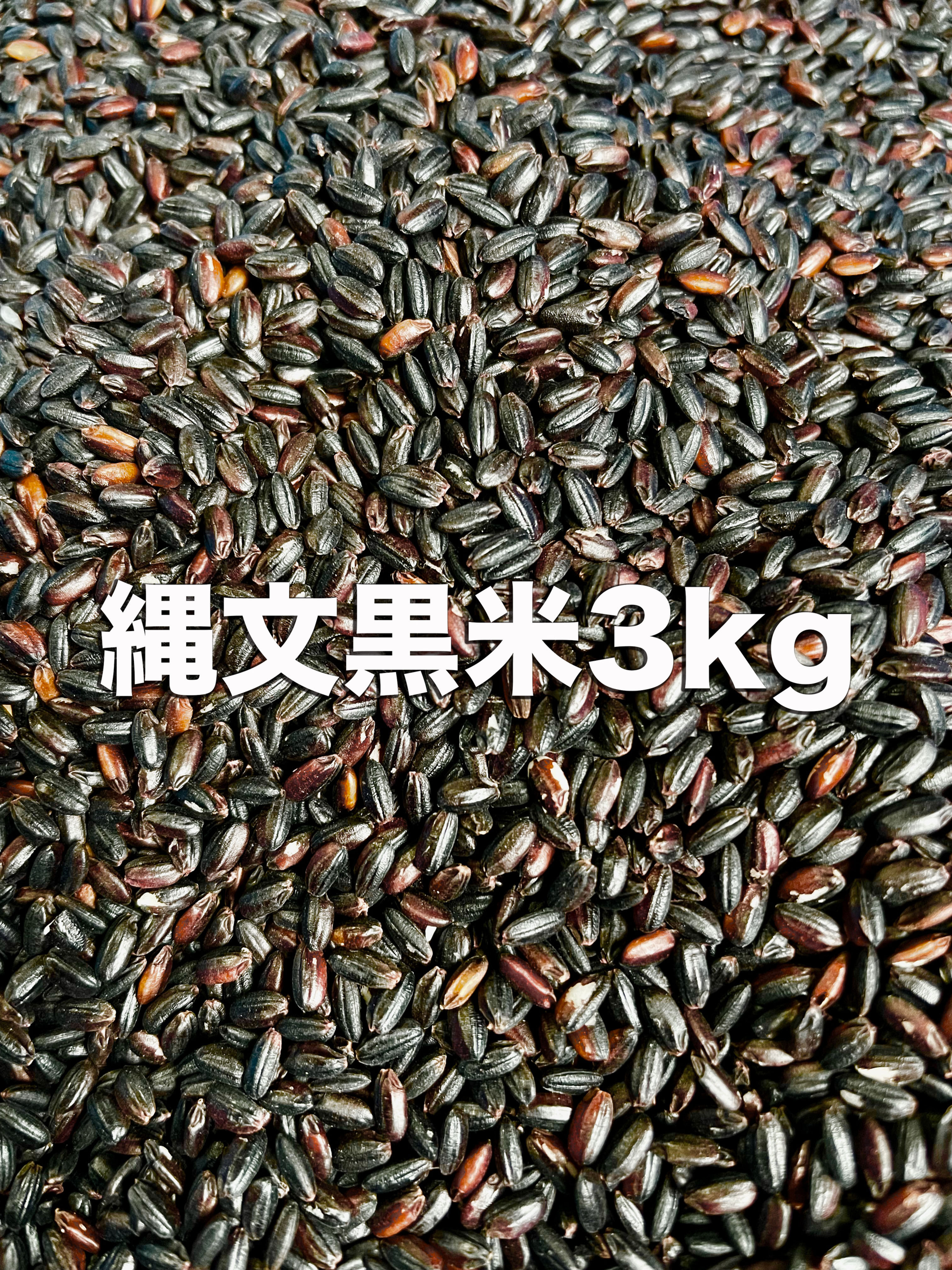 縄文黒米2025／3kg／予約受付！／宇宙農による漆黒の米
