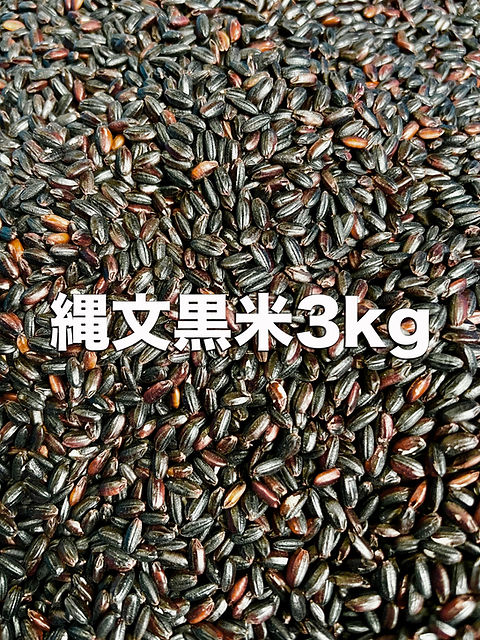 2025年産　和氣優の縄文黒米　3kg 縄文黒米2025／3kg／予約受付！／宇宙農による漆黒の米 | agridept