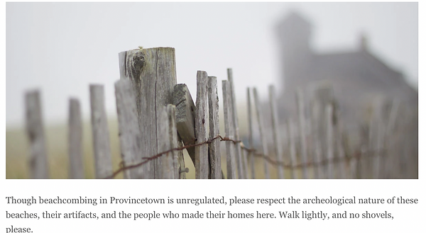 Beach Combing 14.png