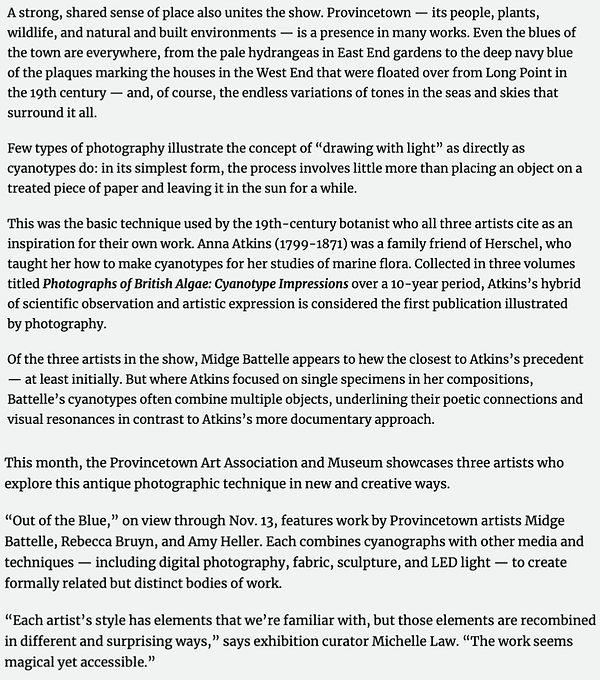 Provincetown Independent Article 3.png