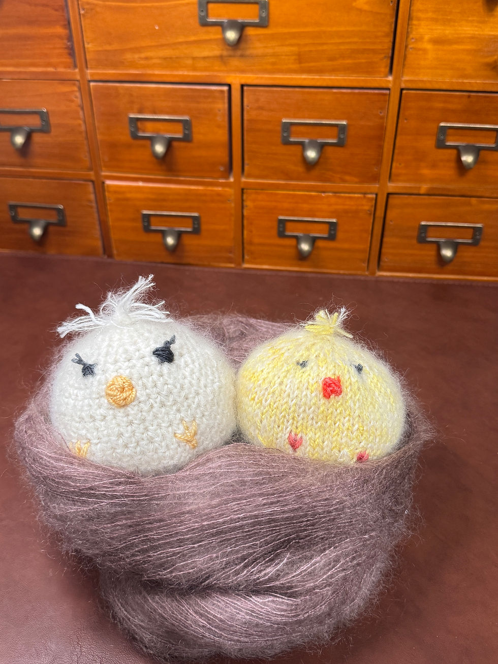 Emotional Support Chicken Dumpling Kit