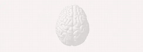 brainhearing oticon hoortoestelmerk