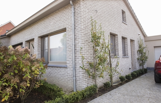 Миниатюра: фасадна облицювальна цегла Vandersanden  Cronus Antiek 107