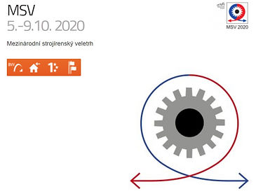 MSV 2020 logo.jpg