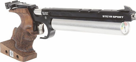 Pistol.jpg