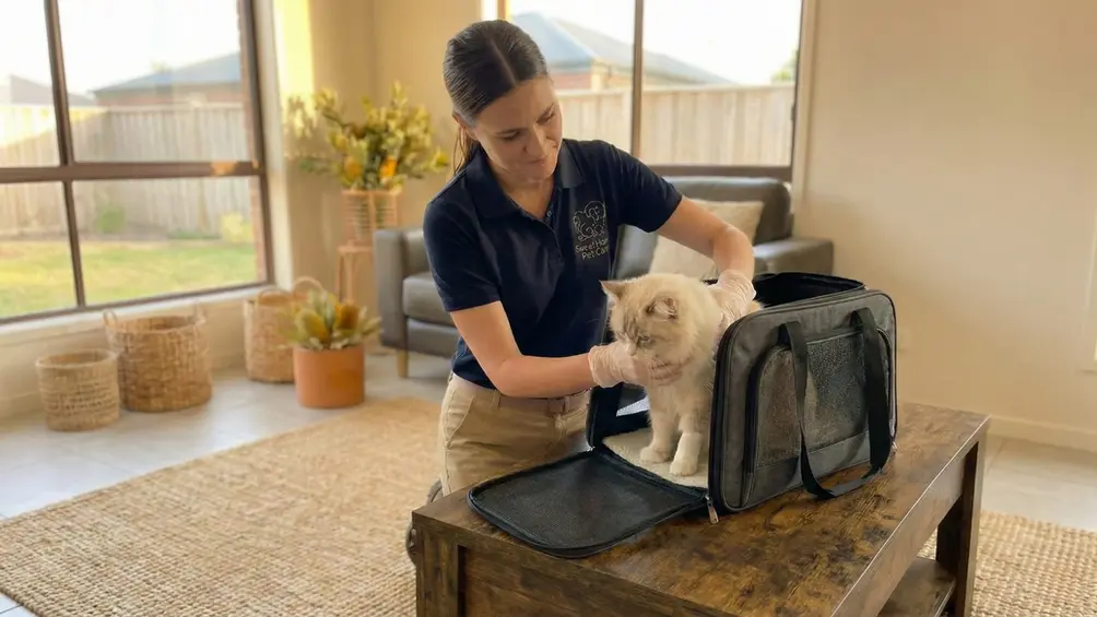 Sweet Home Pet Care sitter placing an injured pet into a secure pet carrier for safe transport to an emergency vet hospital.