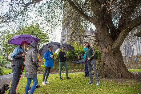Limerick Tour (1).jpg