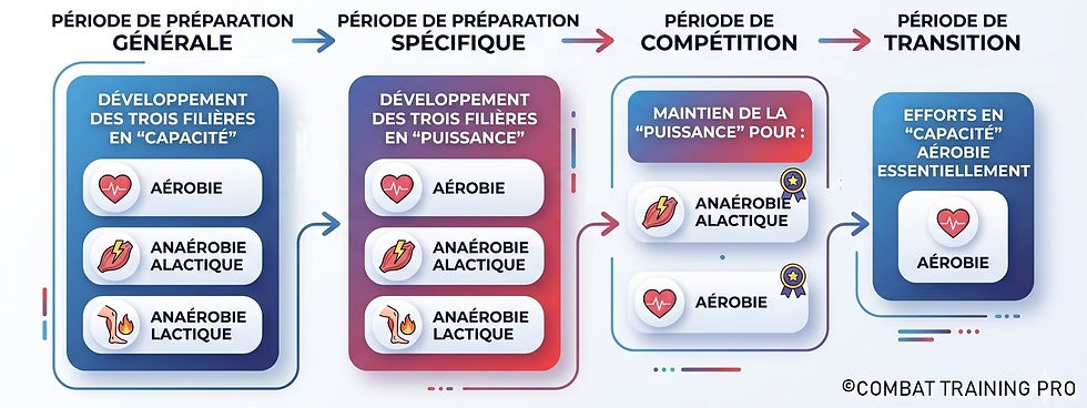 Périodisation du développement des filières énergétiques : prépa générale, prépa spécifique, compétition, transition
