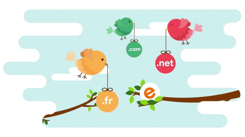domaines du web.gif