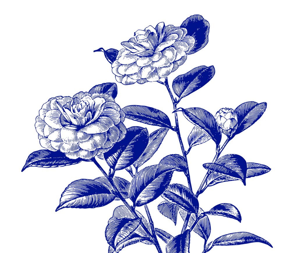 Sip & Pick (1).png