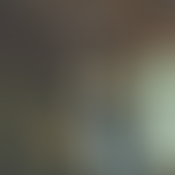 引振袖を着た花嫁