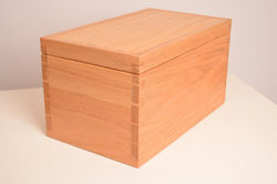 Phil Johnson 4 CGL3.jpg