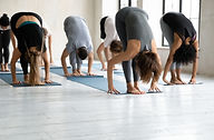 Hatha_Yoga_edited_edited.jpg