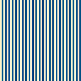 Trop Bon .25 in Thin Striped Pattern.jpg
