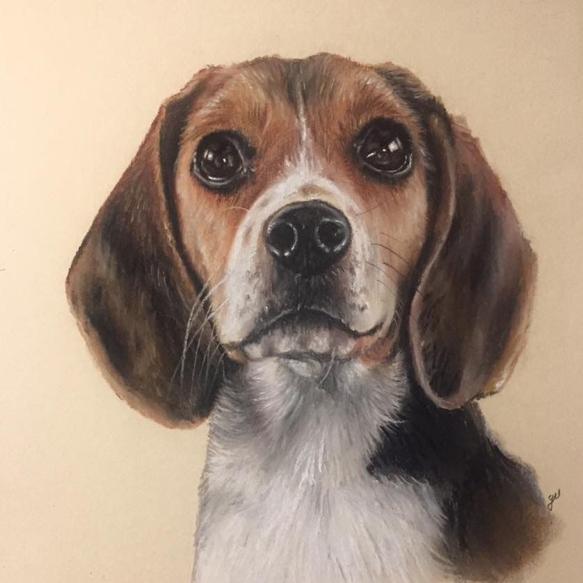Thumbnail: Pay Weekly Large Pastel Pet Portrait. 16" x 12" / 40 x 30cm