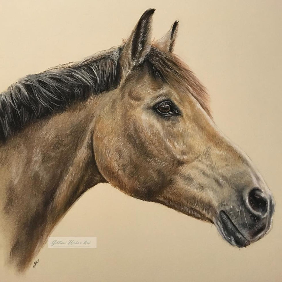 Thumbnail: Pay Weekly Small Pastel Pet Portrait. 10" x 8" / 25 x 20cm
