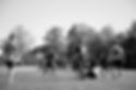 marcel-strauss-Wt9IRghaLN0-unsplash_edited.jpg