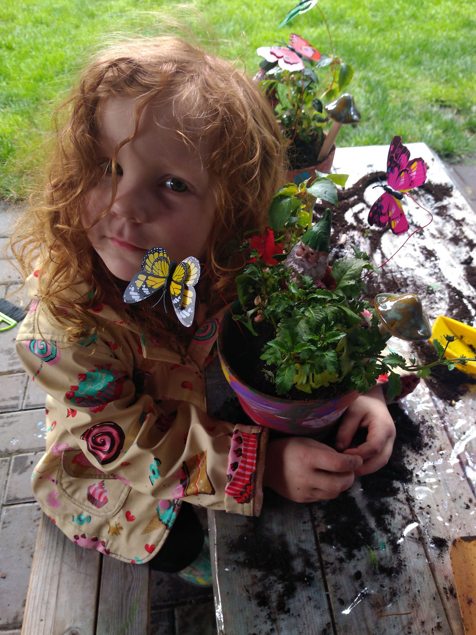 Making Butterfly Gardens