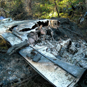 Charred plane wreckage - passenger cabin