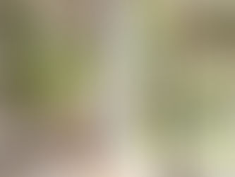 Daglichtstudio vs flitsstudio: wat past beter bij jou?