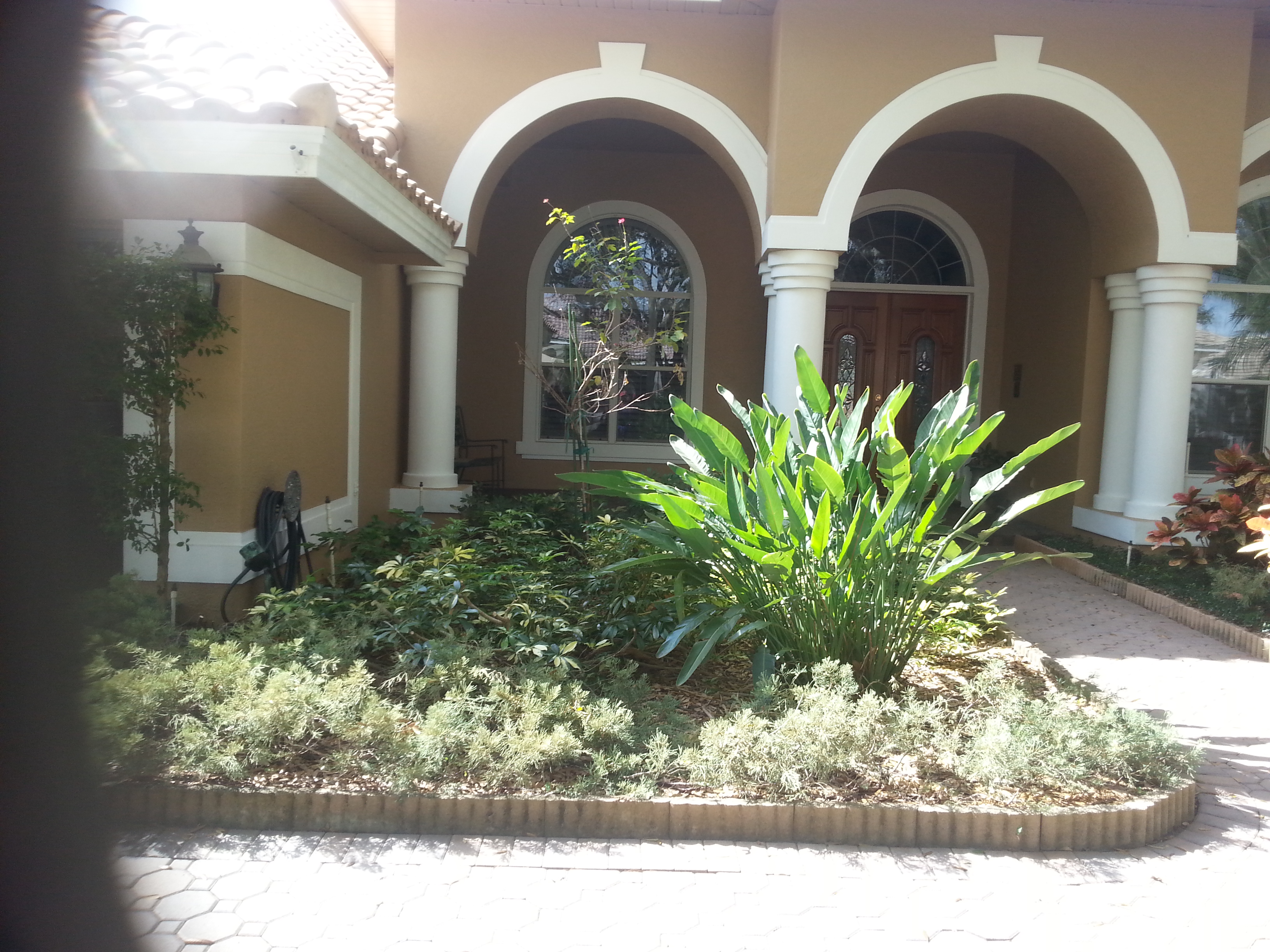 Discount Palms and Plants, with full service landscaping