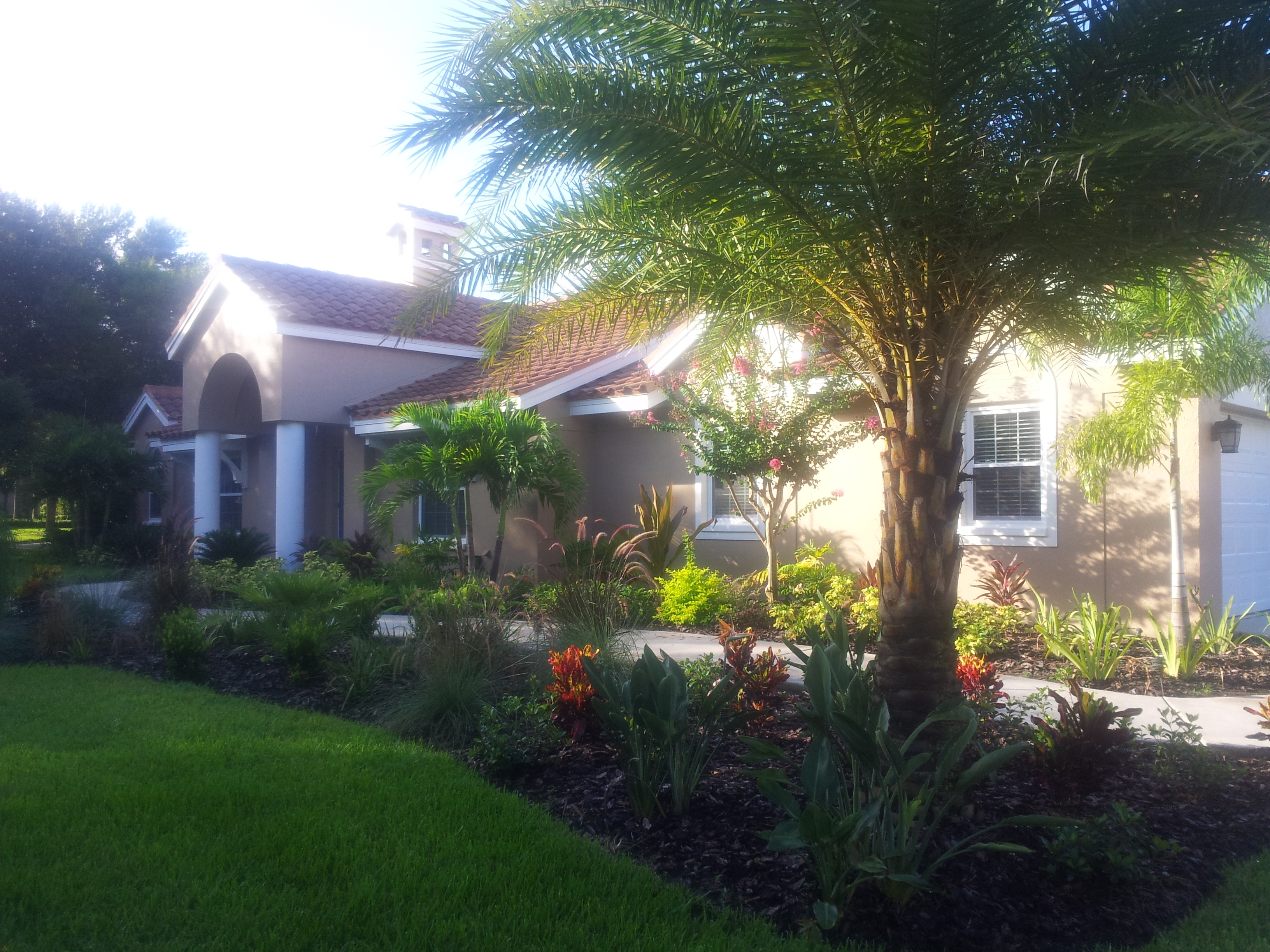 Discount Palms and Plants, with full service landscaping