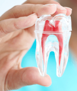 Endodontics
