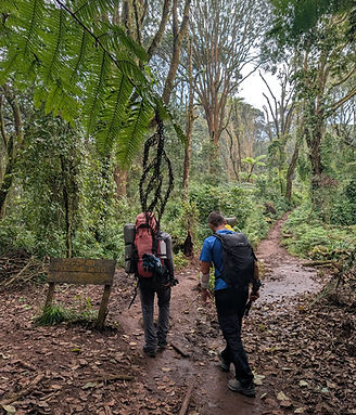 45379e68-367e-40a4-9895-de3fa9c049bf.JPG