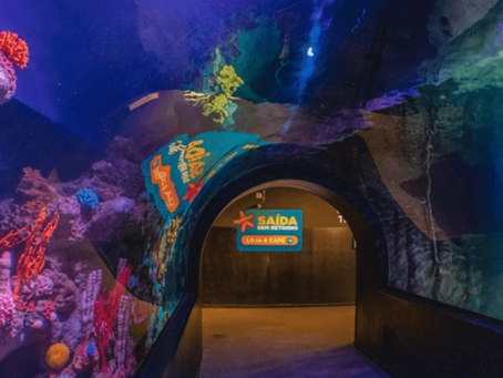 Oceanic Aquarium em Balneário Camboriú