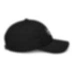 Thumbnail: Organic dad hat