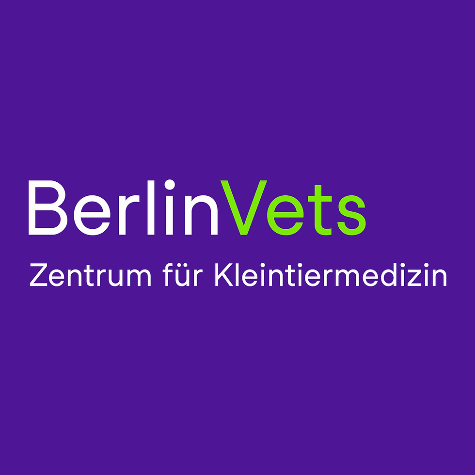 Zentrum für Kleintiermedizin BerlinVets, Tierarzt