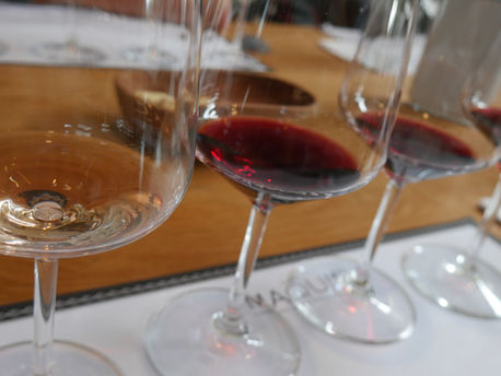 Wine Tasting Di Chile? Ini Panduan Lengkapnya