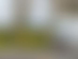 Box Truck Insurance | A Complete Guide for Small Fleet Owners